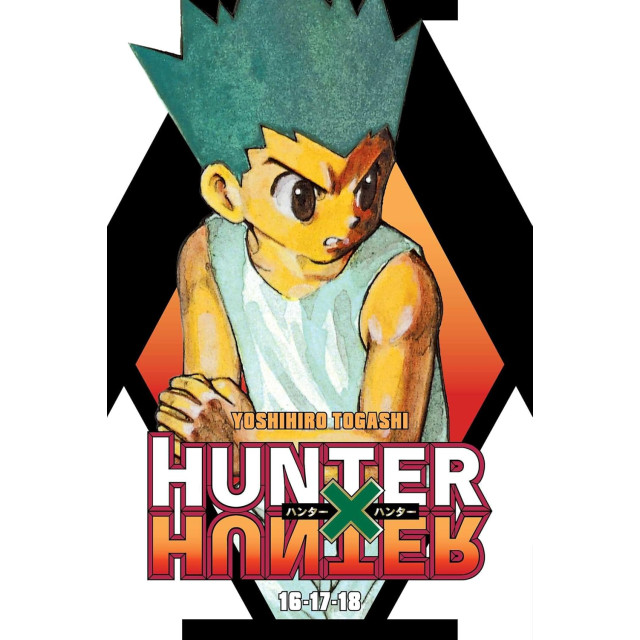 HUNTER X HUNTER (3 IN 1) SC 006